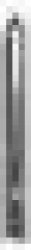 Pompa 3T30 (230V ) Omnigena 