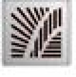 Kratka kwadrawa Easy Flow Palm 